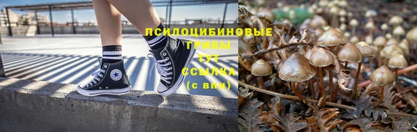 гашик Абинск