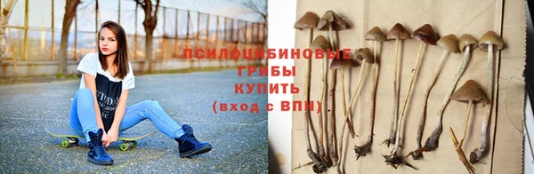 гашик Абинск